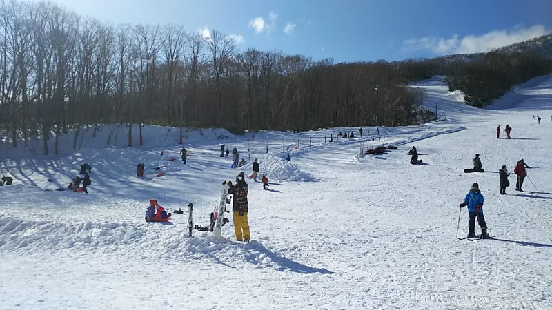 Noboribetsu Sanlaiva Ski Rental in Hokkaido (Optional Clothing Set) - At a glance