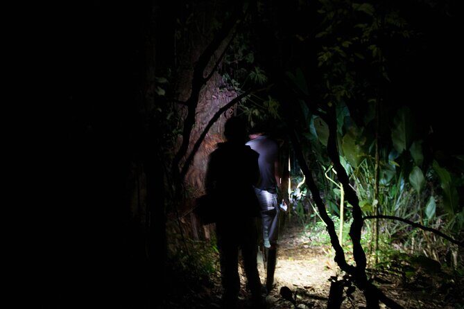 Nocturnal deep jungle hike - Frequently Asked Questions