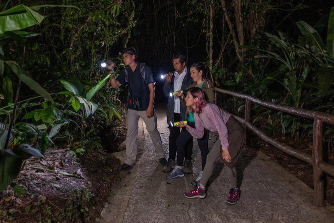 Nocturnal Walk in the Hanging Bridges - Key Points