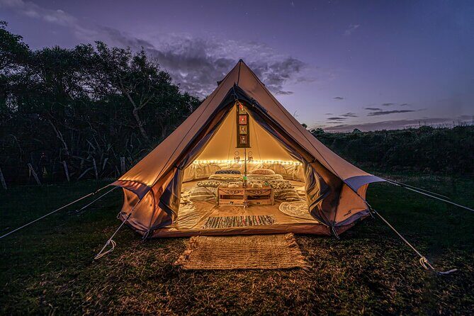 Nocturnal Wonders Tawharanui Kiwi Spotting and Stargazing Tour - Is This Tour Right for You?