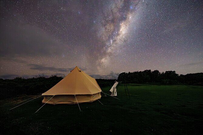 Nocturnal Wonders Tawharanui Kiwi Spotting and Stargazing Tour - FAQ: Your Questions Answered