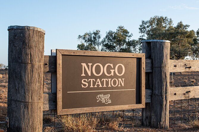 Nogo Station Experience - The Nogo Station Experience: A Deep Dive