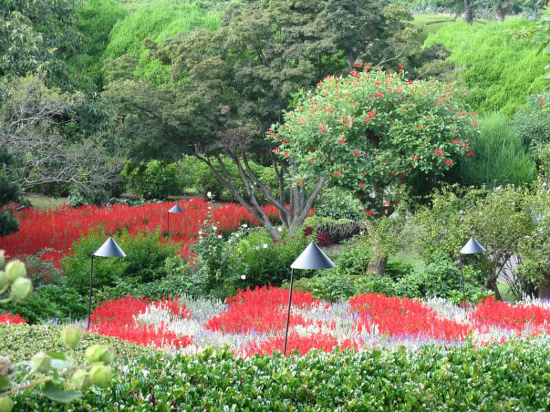 Nokonoshima Island Park: Garden Tour & Wagyu BBQ Lunch - Key Points
