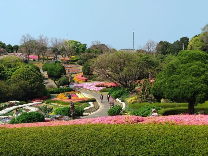 Nokonoshima Island Park: Garden Tour & Wagyu BBQ Lunch - The Experience in Detail