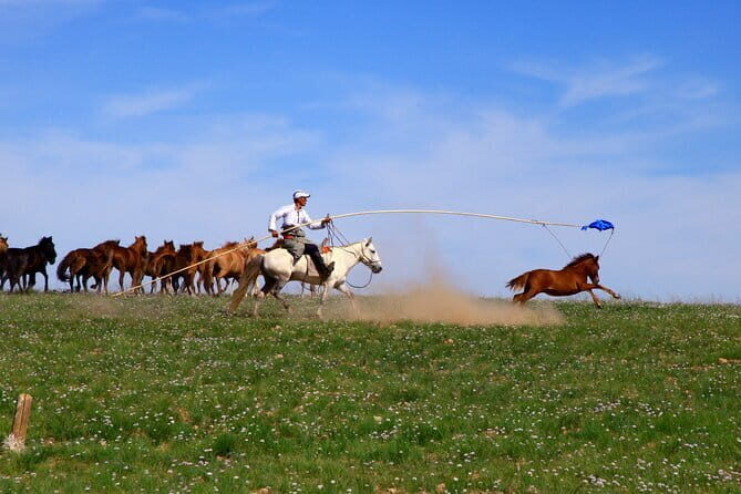 Nomad Ride - Exploring Mongolia’s Countryside on Horseback: The Nomad Ride in Detail