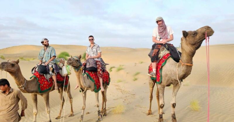 Nomadic 2 Nights 3 Days Non Touristic Camel & Desert Safari - A Complete Look at the 3-Day Camel & Desert Safari