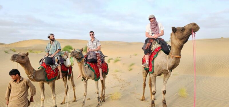 Nomadic 2 Nights 3 Days Non Touristic Camel & Desert Safari - Why Choose This Camel Safari?