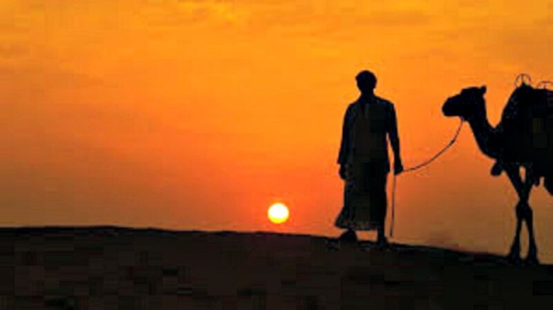 Nomadic Non-Touristic Overnight Camel & Desert Safari Tour - Who Is This Tour Best For?