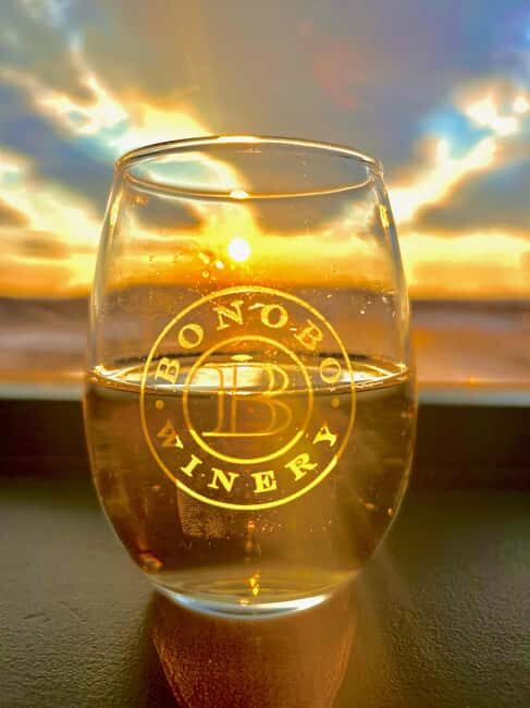 NON BUS 3 Winery Old Mission Peninsula Sunset Wine Tour - A Journey in Style and Substance