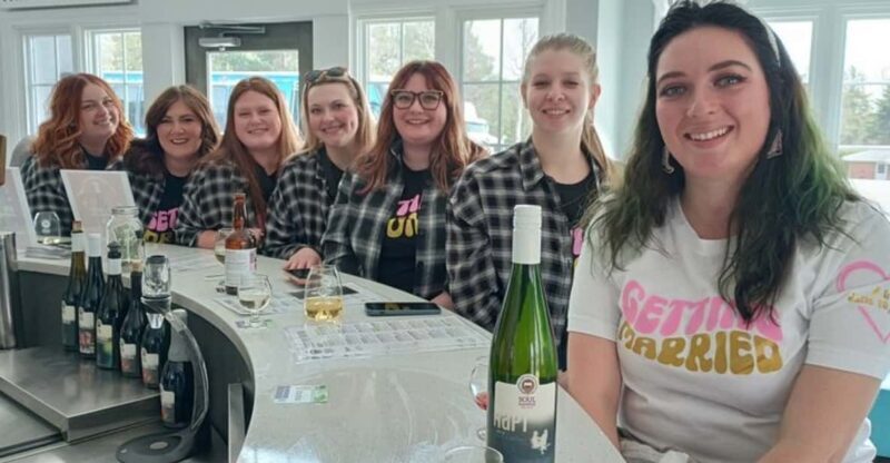 NON BUS Andie's VIP Traverse / Leelanau Peninsula Wine Tour - A Deep Dive into the Leelanau Peninsula Wine Tour Experience