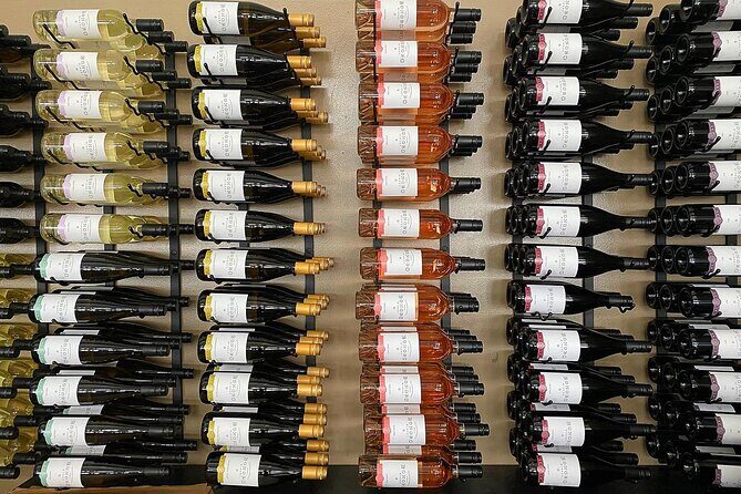 NON BUS Birthday Old Mission Peninsula Wine Tour - The Sum Up