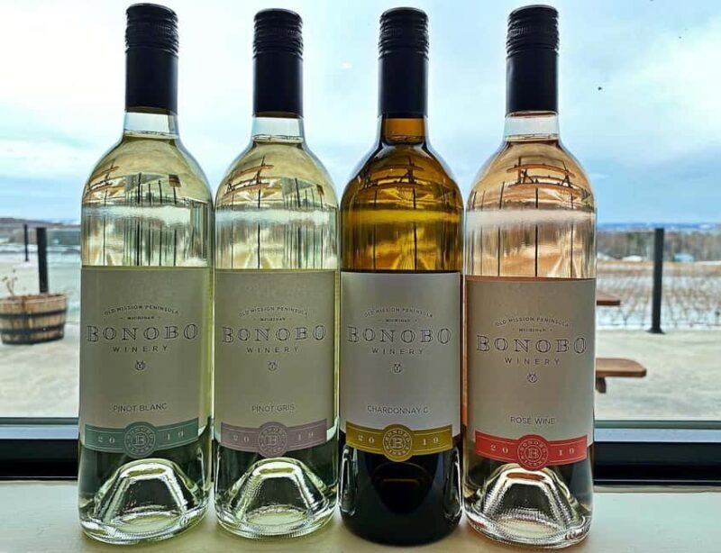 NON BUS Sunday Funday Traverse City Old Mission Wine Tour - An In-Depth Look at the Non-Bus Wine Tour