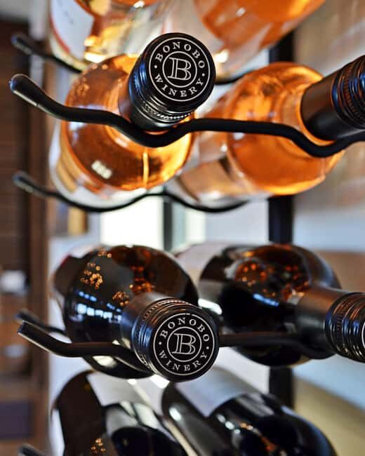 NON BUS Sunday Funday Traverse City Old Mission Wine Tour - Who Should Consider This Tour?