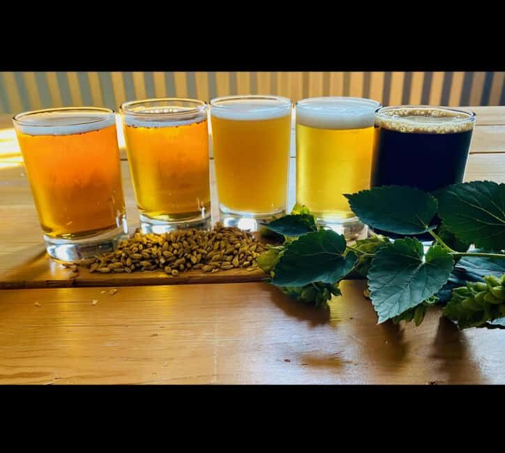 NON BUS Traverse City IPA, Beer, Distillery and Wine Tour - An in-depth look at the Traverse City beverage tour