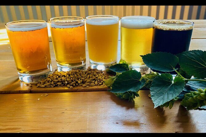 NON BUS VIP Traverse City Brewery And Distillery Tour - Who Is This Tour Best For?