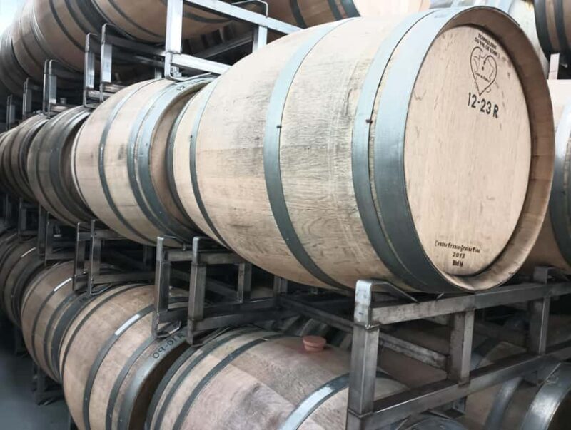 NON BUS White Wine Lover Old Mission Traverse City Wine Tour - Who Should Consider This Tour?