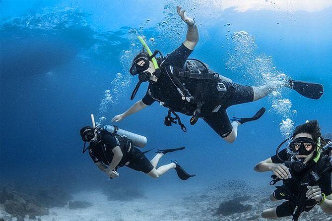Non Certified Diving Experience plus Transportation - Key Points