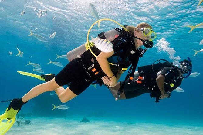Non Certified Diving Experience plus Transportation - Authenticity and Firsthand Experiences