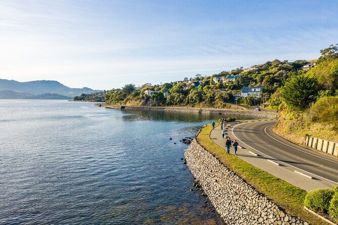 Non-Electric Bike Rental - Exploring Dunedin & Otago Peninsula by Bike: A Deep Dive