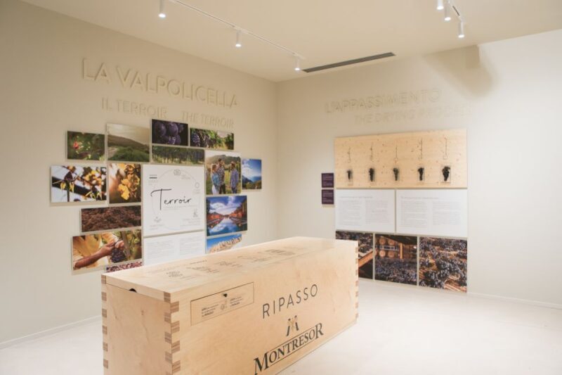 Non guided tour of the wine museum and amarone tasting - The Sum Up
