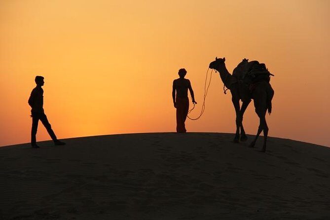 Non Touristic Half Day Camel Safari Thar Desert Sunset - Exploring the Thar Desert: A Deep Dive into the Safari