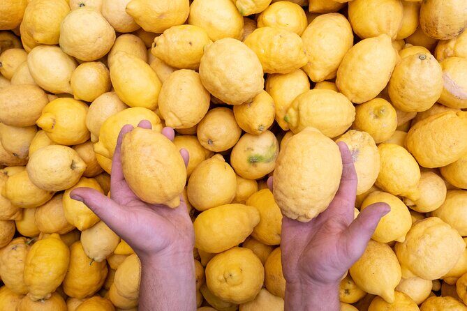 Nonno Mario Sorrento Lemon tour - The Sum Up