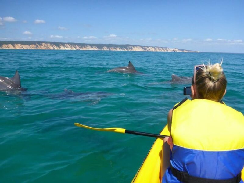 Noosa: Dolphin Sea Kayak & Beach 4X4 Tour (in National Park) - Discover Noosa’s Coastal Wonders on a Dolphin Sea Kayak & Beach 4X4 Tour