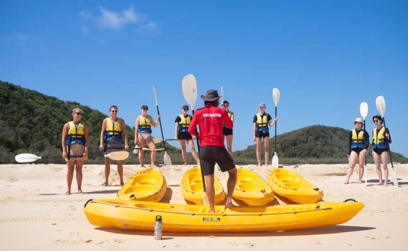 Noosa: Dolphin Sea Kayak & Beach 4X4 Tour (in National Park) - Key Points