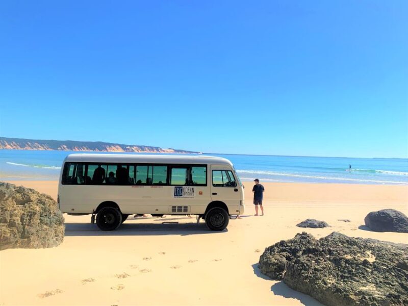Noosa: Dolphin Sea Kayak & Beach 4X4 Tour (in National Park) - FAQ