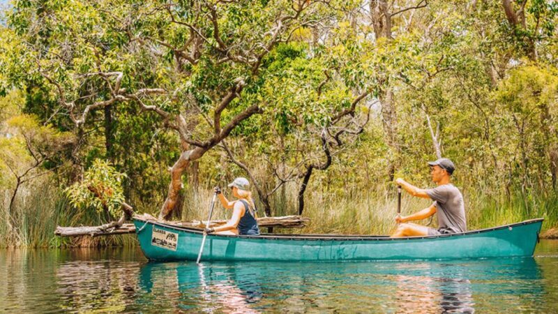 Noosa: Everglades Explorer Cruise - An In-Depth Look at the Noosa Everglades Explorer Tour