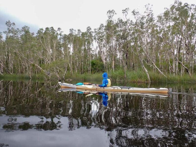 Noosa Everglades: Truly Sustainable Self Guided KAYAK Tour - Key Points