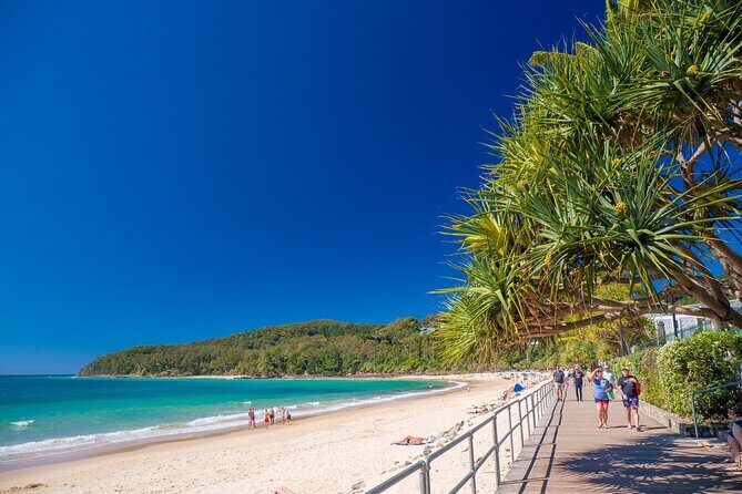 Noosa Heads and Eumundi Markets Private Tour from Brisbane - Noosa Heads and Eumundi Markets Private Tour from Brisbane: A Deep Dive