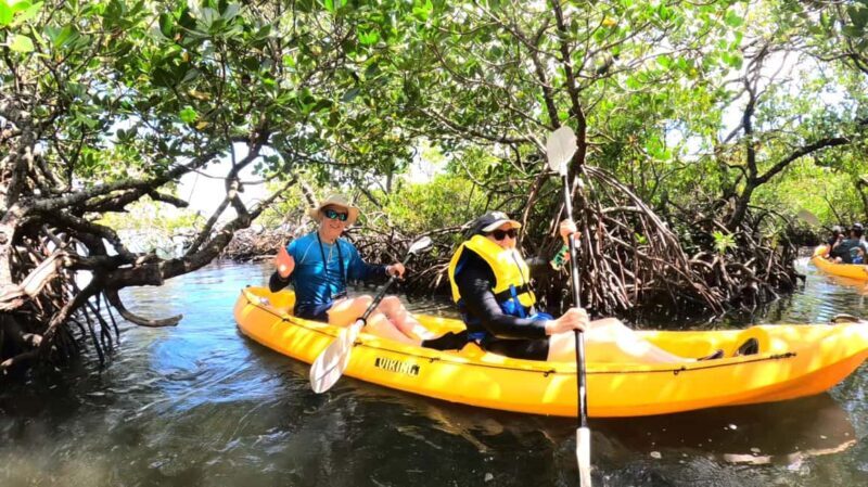 Noosa Heads: Hidden Waterways Wildlife Kayak (Fully Guided) - The Logistics: Meeting, Timing, and Group Sizes