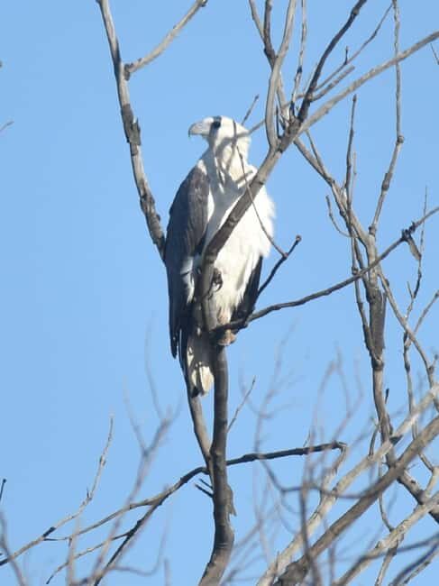 Noosa Heads: Hidden Waterways Wildlife Kayak (Fully Guided) - Why This Tour Is a Solid Choice