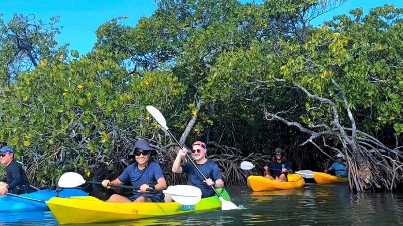 Noosa Heads: Hidden Waterways Wildlife Kayak (Self-Guided) - Key Points