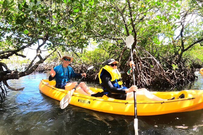 Noosa Heads: Hidden Waterways & Wildlife Kayak Tour - Noosa Heads: Hidden Waterways & Wildlife Kayak Tour
