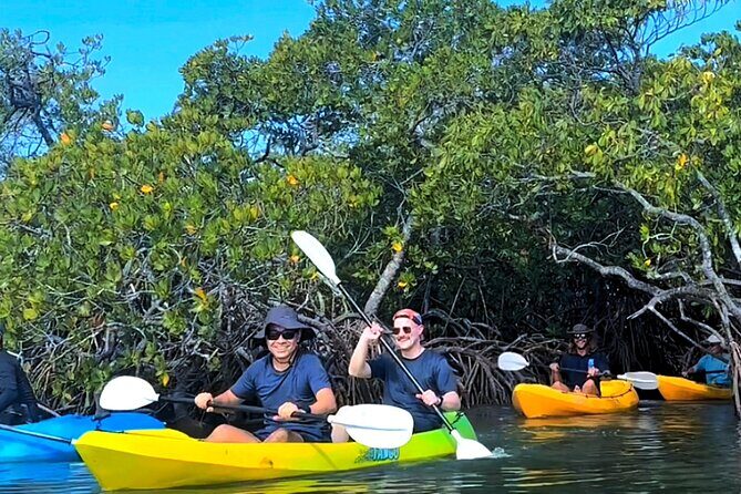 Noosa Heads: Hidden Waterways & Wildlife Kayak Tour - Key Points