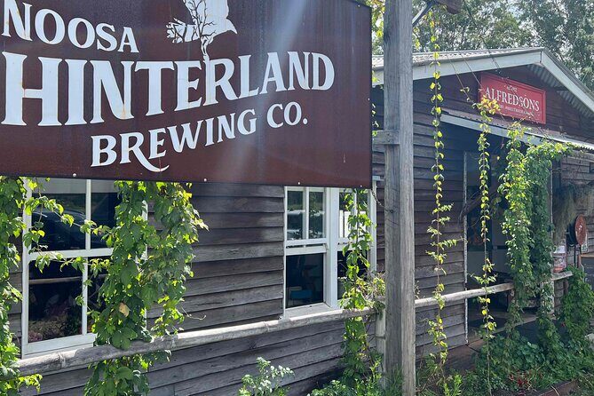 Noosa Hinterland Drinks Private Tour with Gin, Beer, Mead & Wine Tastings - Indulging in Vineyard Serenity