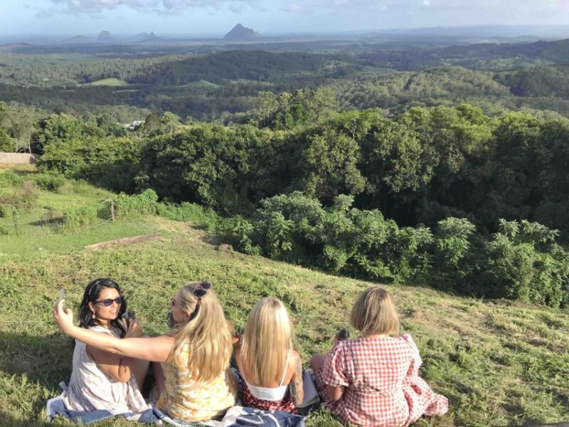 Noosa: Maleny & Montville Tour with Lunch & Wine Tasting - The Sum Up