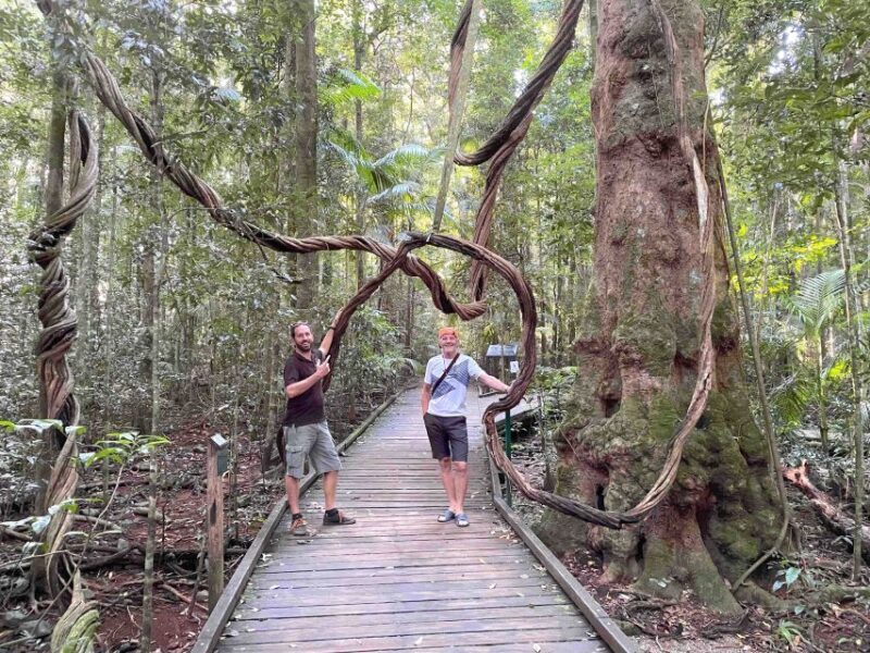 Noosa: Maleny & Montville Tour with Lunch & Wine Tasting - FAQ