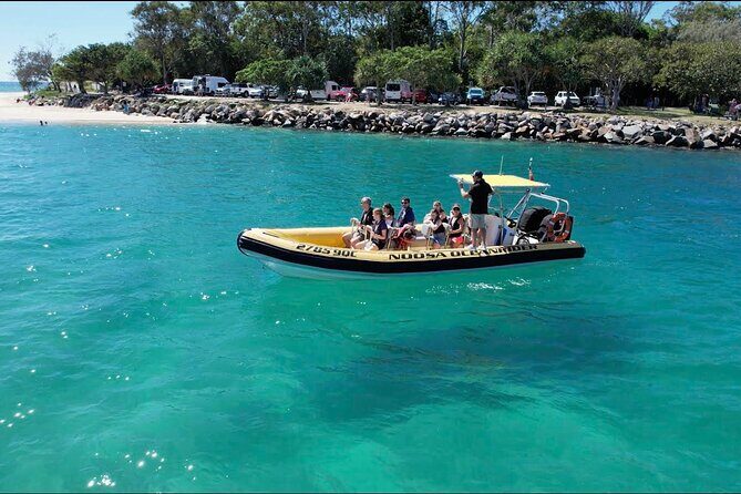 Noosa ocean adventure & Dolphin safari. - Discovering Noosa with the Ocean Rider & Dolphin Safari