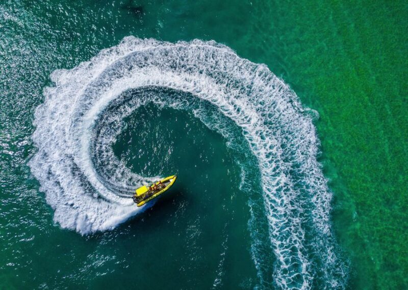 Noosa Ocean adventure & Dolphin Safari. - The Sum Up: Is the Noosa Ocean & Dolphin Safari Worth It?