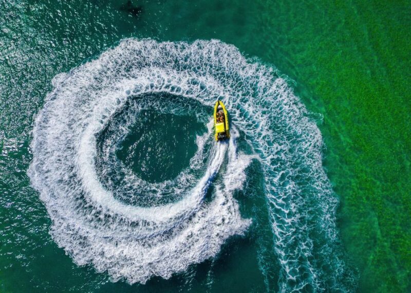 Noosa Ocean adventure & Dolphin Safari. - FAQs