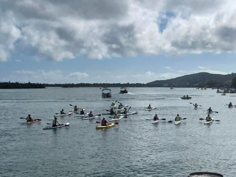Noosa River: Mangroves and Mansions Guided Kayak Tour - An In-Depth Look at the Noosa River Kayak Experience