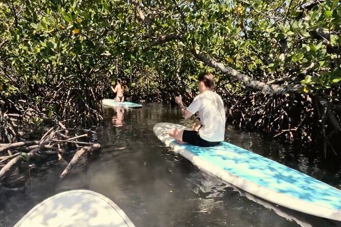 Noosa Stand Up Paddle & Mangrove Tunnel Tour - Frequently Asked Questions