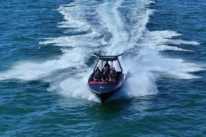 Noosa Thriller: Ocean & Dolphin Adventure Tour - The Experience: What to Expect on the Noosa Thriller Ocean & Dolphin Adventure Tour