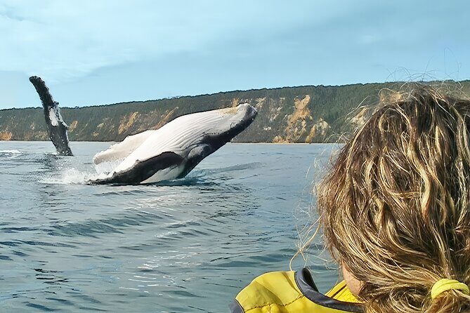 Noosa Whale Watching On Ocean Kayaks & Beach 4X4 Tour - Noosa Whale Watching On Ocean Kayaks & Beach 4X4 Tour: An Authentic Adventure in Australia’s Sunshine Coast