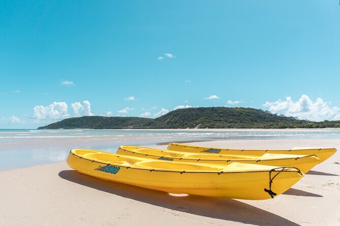 Noosa Whale Watching On Ocean Kayaks & Beach 4X4 Tour - The Sum Up