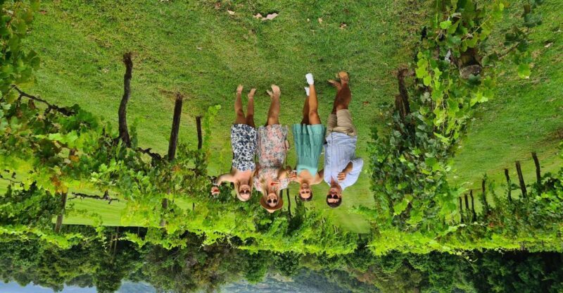 Noosa: Winery, Gin Distillery and Brewery Tour with Lunch - Exploring the Noosa Hinterland: A Guide to the Tour