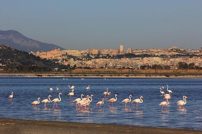 Nora Tour from Cagliari - Final Thoughts: Is It Worth It?